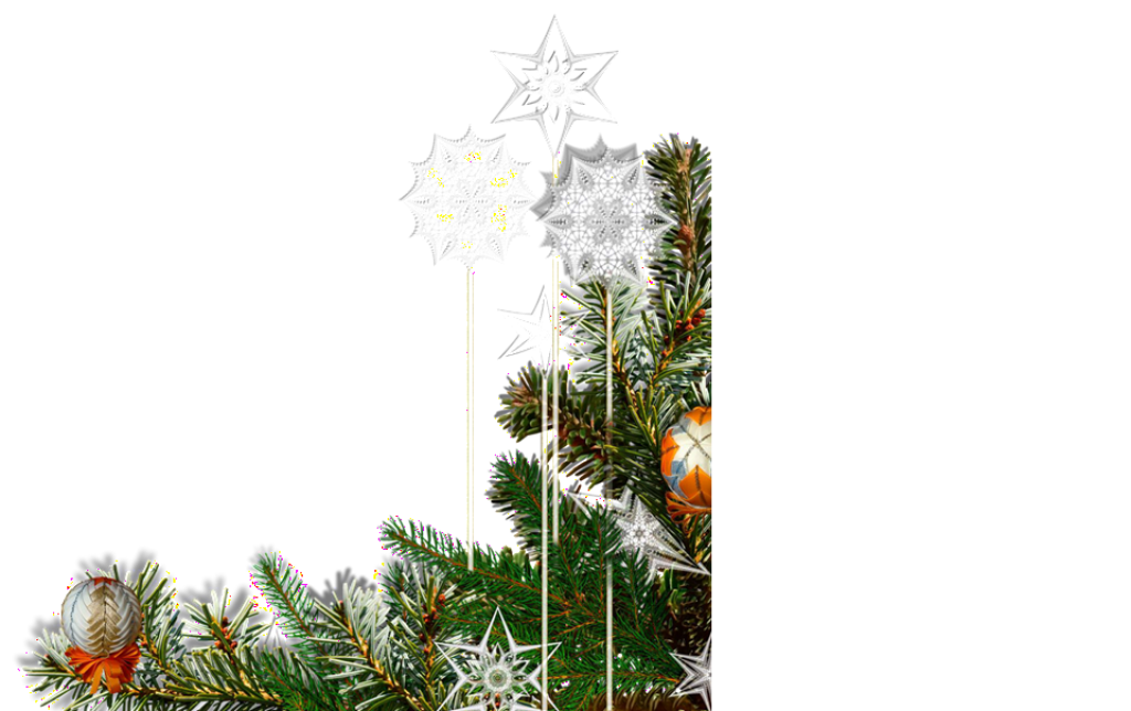 logo advent.png