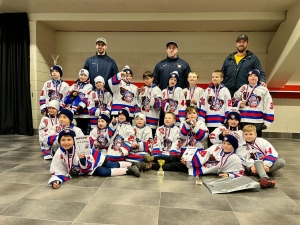 Více sportovní turnaj pro nejmladší hokejisty